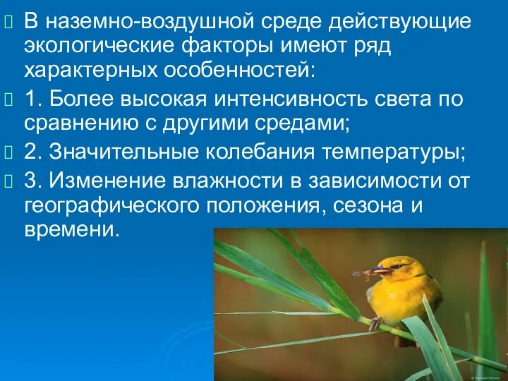 В наземно-воздушной среде действующие экологические факторы имеют ряд характерных особенностей: 1. Более