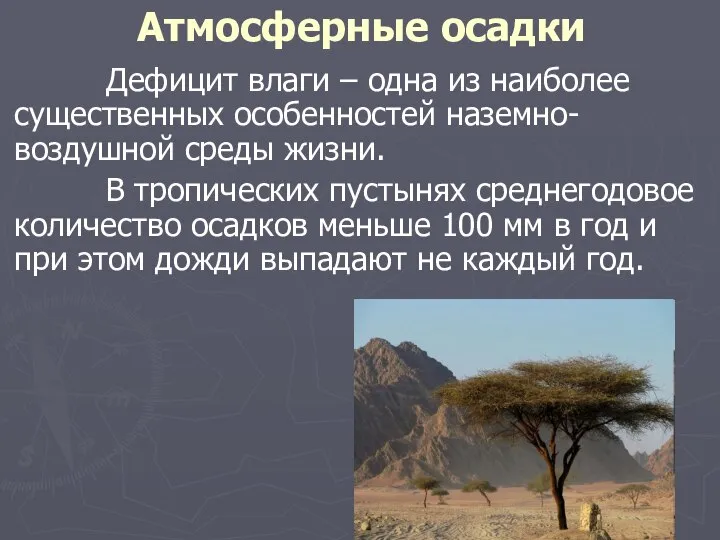 Атмосферные осадки Дефицит влаги – одна из наиболее существенных особенностей наземно-воздушной среды