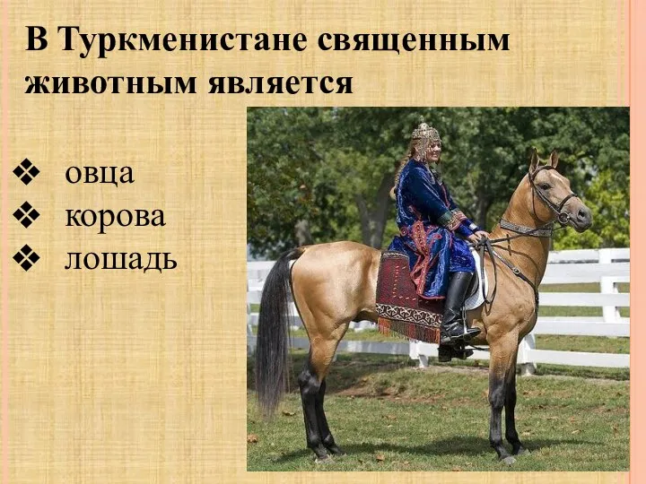 В Туркменистане священным животным является овца корова лошадь