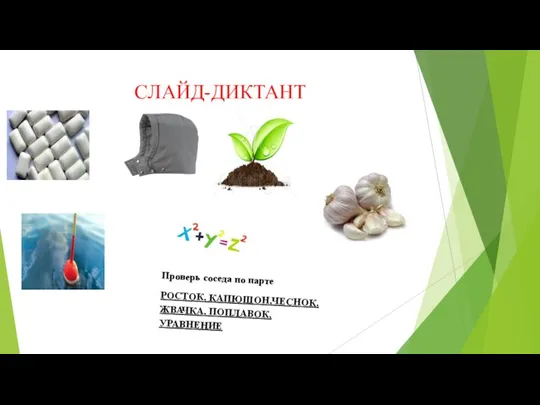 СЛАЙД-ДИКТАНТ Проверь соседа по парте РОСТОК, КАПЮШОН,ЧЕСНОК,ЖВАЧКА, ПОПЛАВОК, УРАВНЕНИЕ