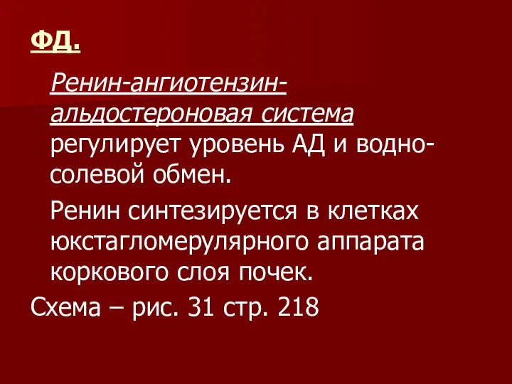 ФД. Ренин-ангиотензин-альдостероновая система регулирует уровень АД и водно-солевой обмен. Ренин синтезируется в