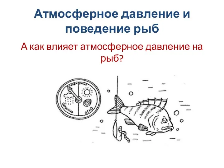 Атмосферное давление и поведение рыб А как влияет атмосферное давление на рыб?