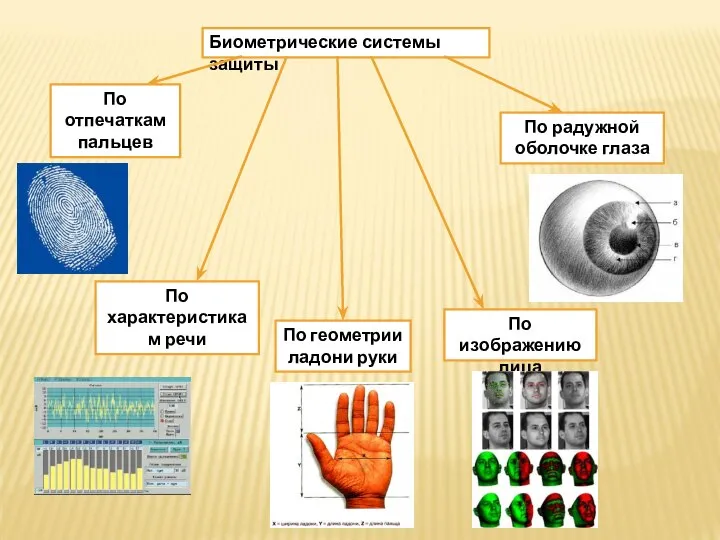 Биометрические системы защиты По отпечаткам пальцев По характеристикам речи По геометрии ладони