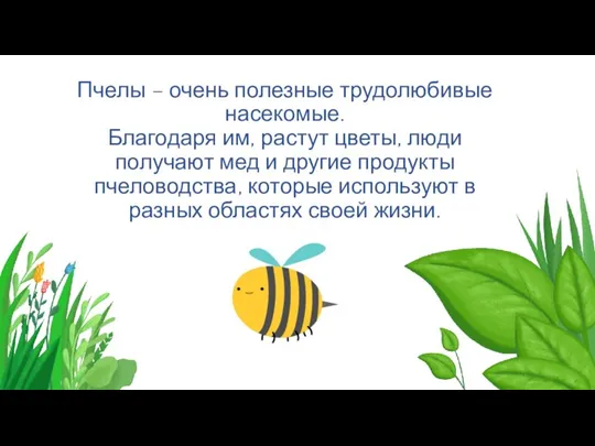 Пчелы – очень полезные трудолюбивые насекомые. Благодаря им, растут цветы, люди получают