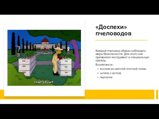 «Доспехи» пчеловодов Каждый пчеловод обязан соблюдать меры безопасности. Для этого они применяют