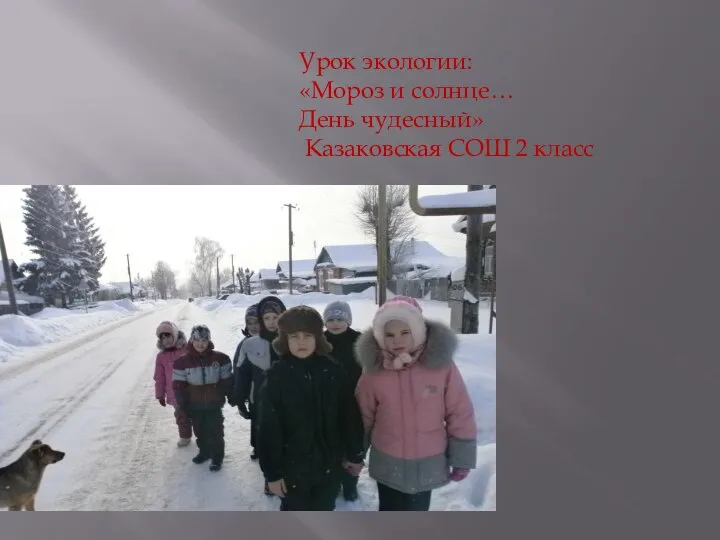 Урок экологии: «Мороз и солнце… День чудесный» Казаковская СОШ 2 класс