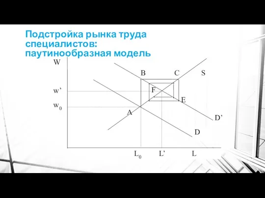 Подстройка рынка труда специалистов: паутинообразная модель