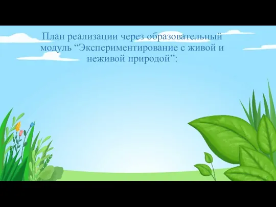 План реализации через образовательный модуль “Экспериментирование с живой и неживой природой”: