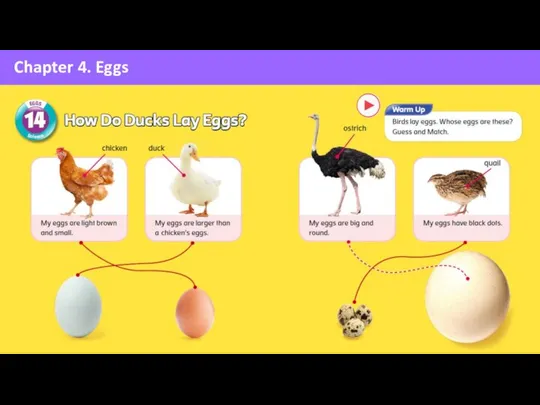Chapter 4. Eggs