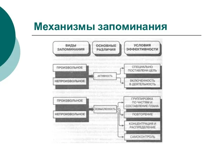 Механизмы запоминания