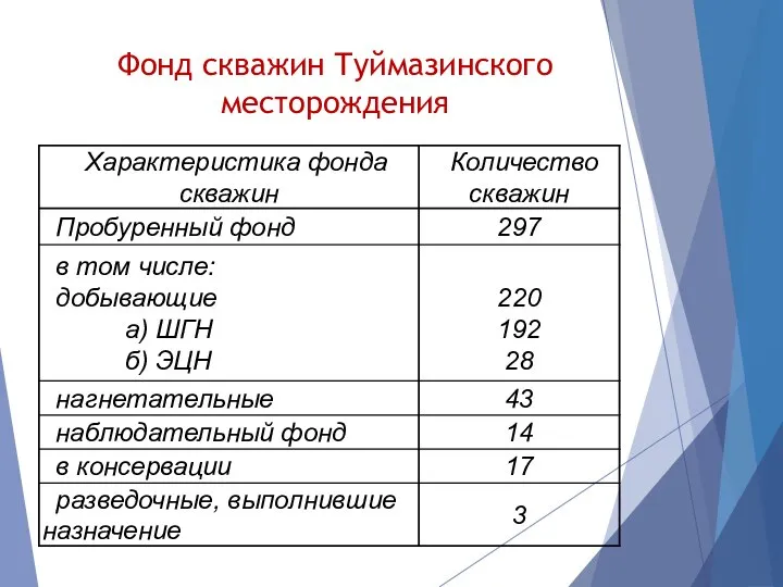 Фонд скважин Туймазинского месторождения