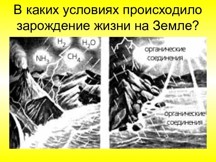 В каких условиях происходило зарождение жизни на Земле?