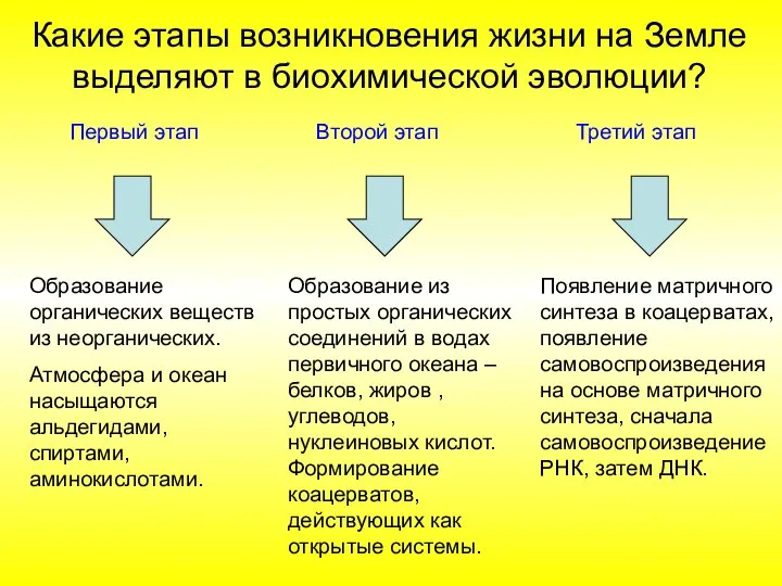 Первый этап Второй этап Третий этап Образование органических веществ из неорганических. Атмосфера