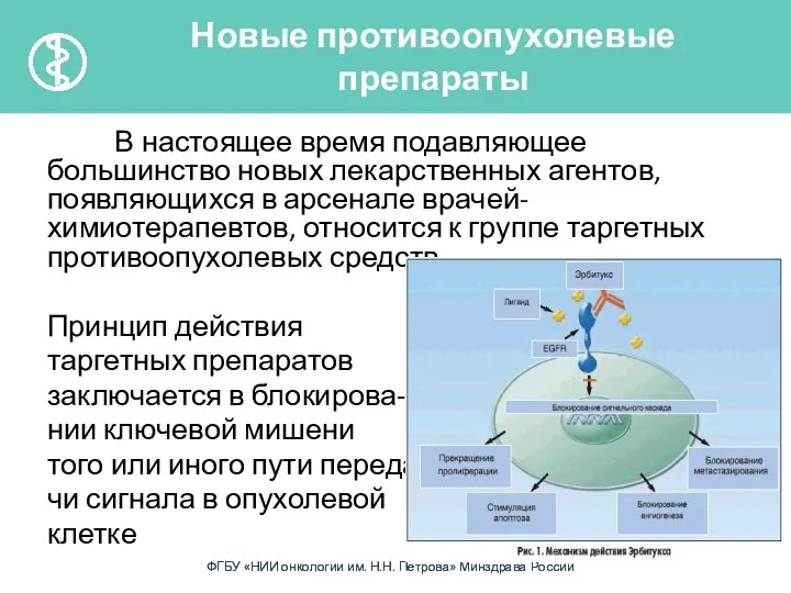 В настоящее время подавляющее большинство новых лекарственных агентов, появляющихся в арсенале врачей-химиотерапевтов,