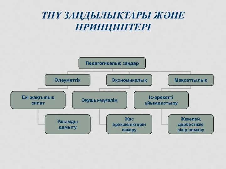 ТПҮ ЗАҢДЫЛЫҚТАРЫ ЖӘНЕ ПРИНЦИПТЕРІ