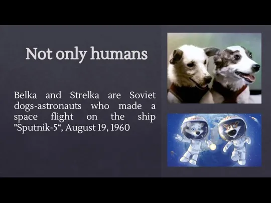 Not only humans Belka and Strelka are Soviet dogs-astronauts who made a