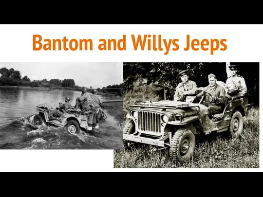 Bantom and Willys Jeeps