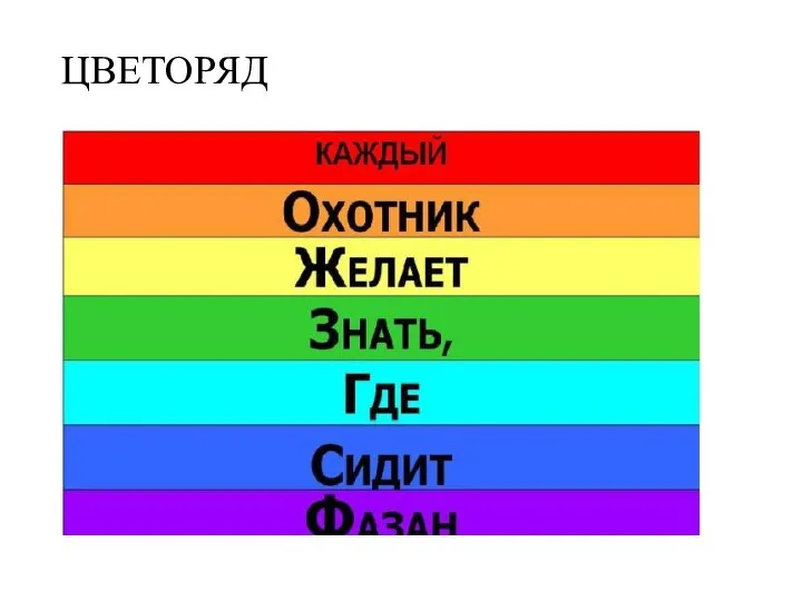 ЦВЕТОРЯД