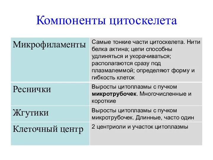 Компоненты цитоскелета