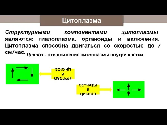 Цитоплазма Структурными компонентами цитоплазмы являются: гиалоплазма, органоиды и включения. Цитоплазма способна двигаться