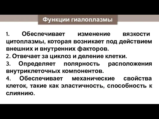 Функции гиалоплазмы 1. Обеспечивает изменение вязкости цитоплазмы, которая возникает под действием внешних