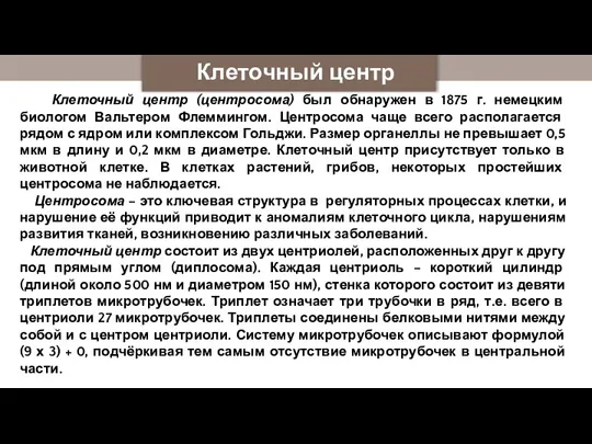 Клеточный центр Клеточный центр (центросома) был обнаружен в 1875 г. немецким биологом