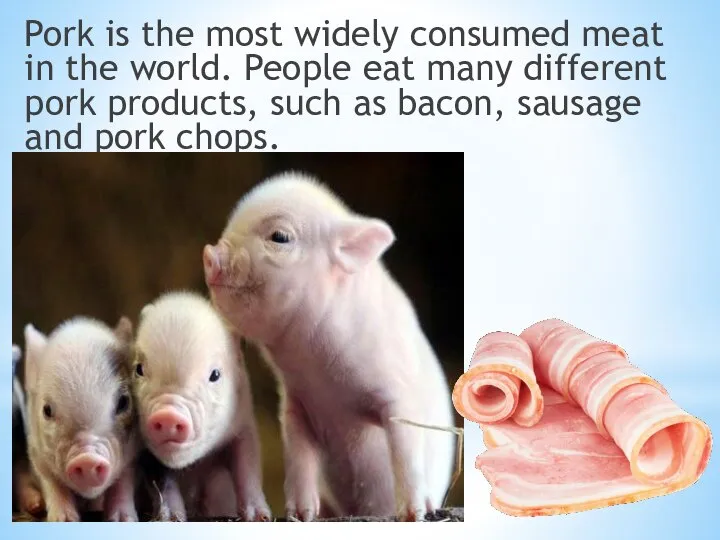 Pork is the most widely consumed meat in the world. People eat