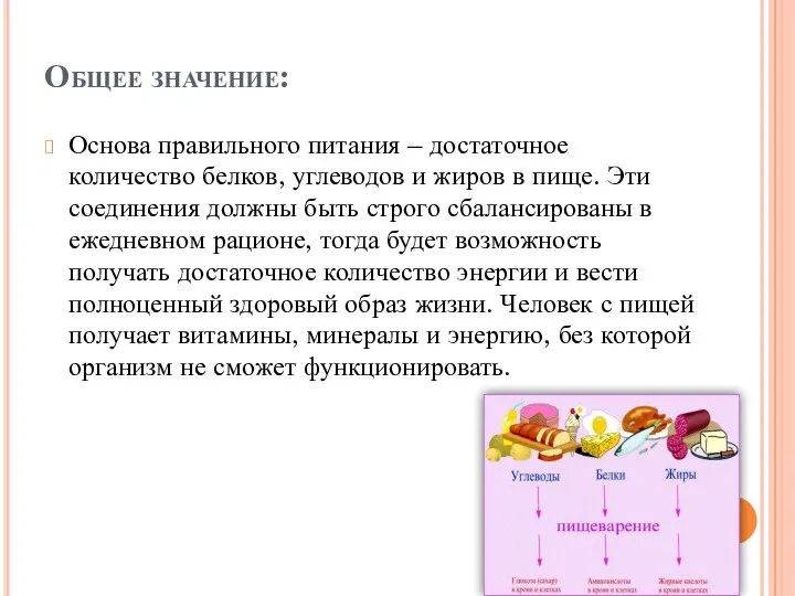 Общее значение: Основа правильного питания – достаточное количество белков, углеводов и жиров