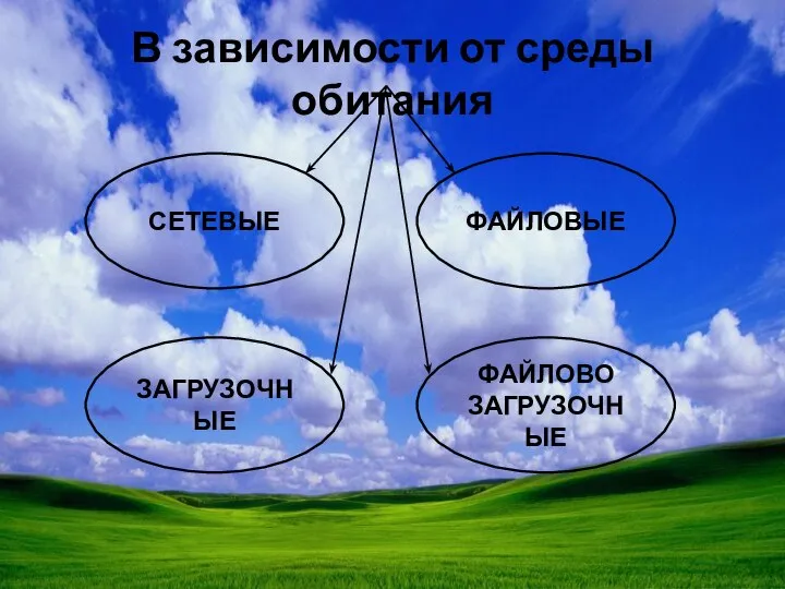 В зависимости от среды обитания СЕТЕВЫЕ ЗАГРУЗОЧНЫЕ ФАЙЛОВО ЗАГРУЗОЧНЫЕ ФАЙЛОВЫЕ