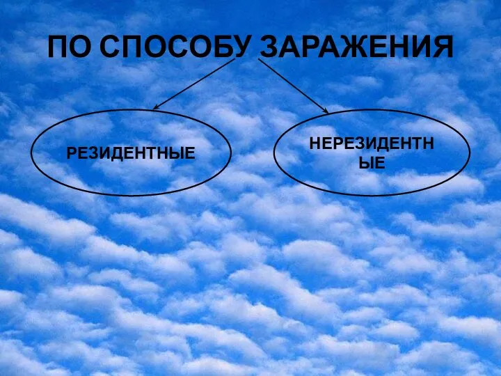 ПО СПОСОБУ ЗАРАЖЕНИЯ РЕЗИДЕНТНЫЕ НЕРЕЗИДЕНТНЫЕ