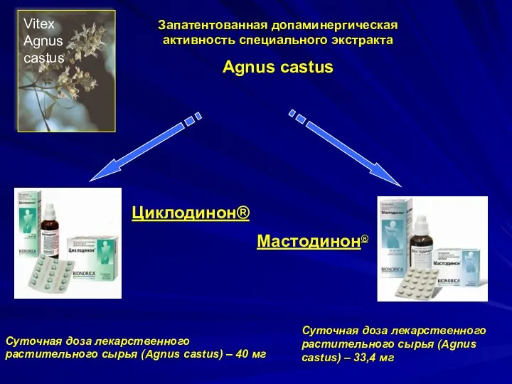 Запатентованная допаминергическая активность специального экстракта Agnus castus Мастодинон® Суточная доза лекарственного растительного