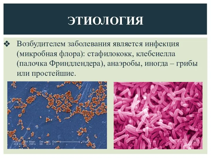 ЭТИОЛОГИЯ Возбудителем заболевания является инфекция (микробная флора): стафилококк, клебсиелла (палочка Фриндлендера), анаэробы,