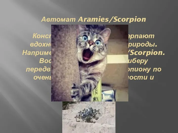 Автомат Aramies/Scorpion Конструкторы роботов черпают вдохновение в творениях природы. Например автомат Aramies/Scorpion.