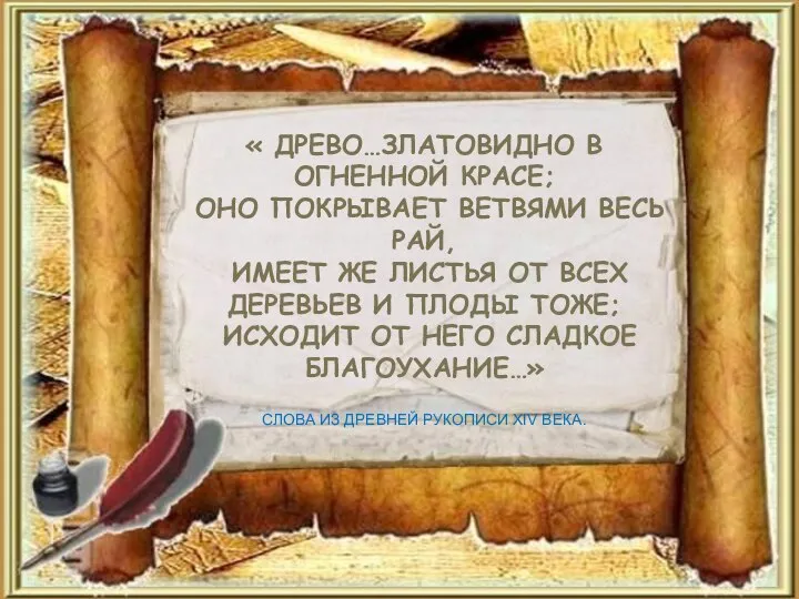 « ДРЕВО…ЗЛАТОВИДНО В ОГНЕННОЙ КРАСЕ; ОНО ПОКРЫВАЕТ ВЕТВЯМИ ВЕСЬ РАЙ, ИМЕЕТ ЖЕ