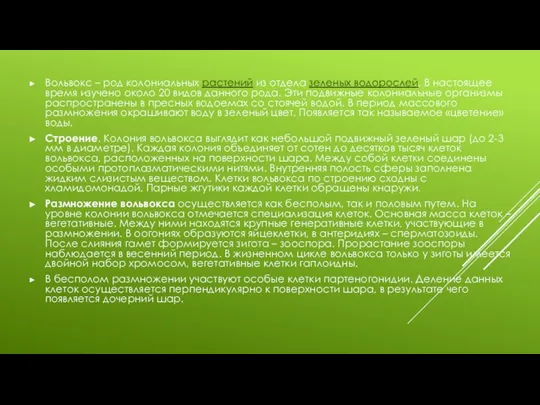 Вольвокс – род колониальных растений из отдела зеленых водорослей. В настоящее время