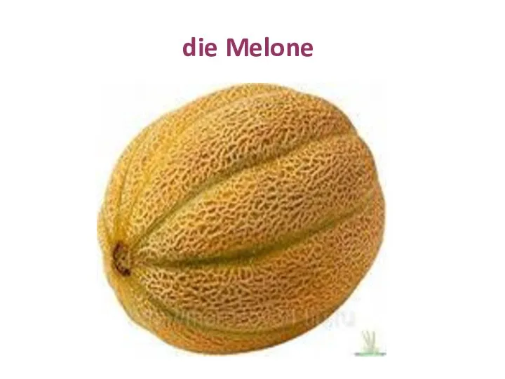 die Melone
