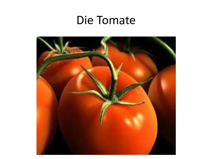 Die Tomate
