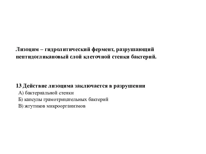 Лизоцим – гидролитический фермент, разрушающий пептидогликановый слой клеточной стенки бактерий. 13 Действие