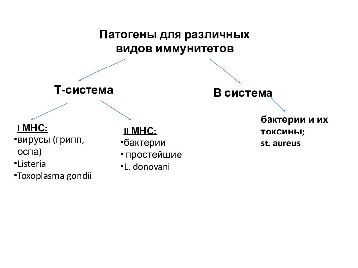 Патогены для различных видов иммунитетов Т-система В система бактерии и их токсины;