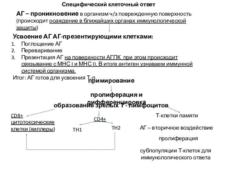 АГ – проникновение в организм ч/з поврежденную поверхность (происходит осаждение в ближайших