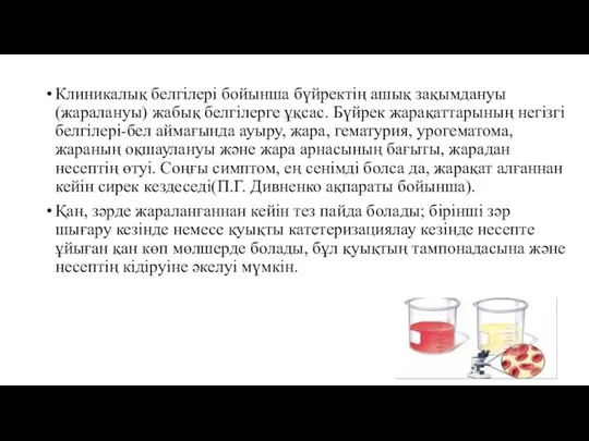 Клиникалық белгілері бойынша бүйректің ашық зақымдануы (жаралануы) жабық белгілерге ұқсас. Бүйрек жарақаттарының