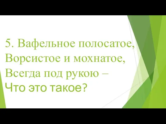 5. Вафельное полосатое, Ворсистое и мохнатое, Всегда под рукою – Что это такое?