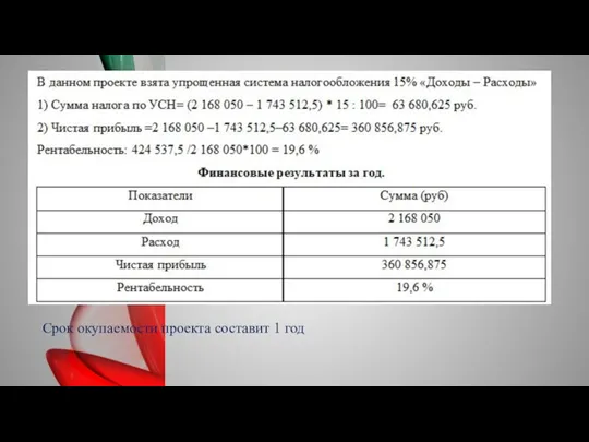 Срок окупаемости проекта составит 1 год