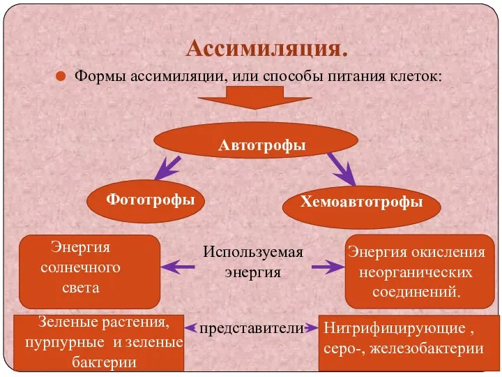 Ассимиляция. Формы ассимиляции, или способы питания клеток: Автотрофы Фототрофы Хемоавтотрофы Энергия солнечного