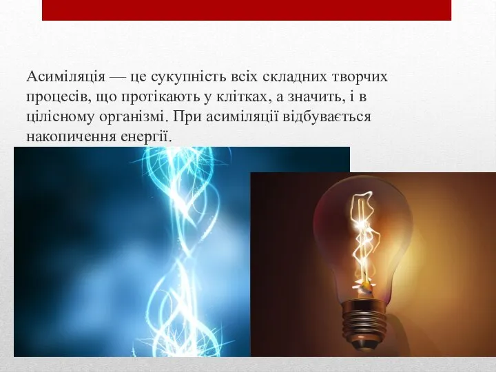 Асиміляція — це сукупність всіх складних творчих процесів, що протікають у клітках,