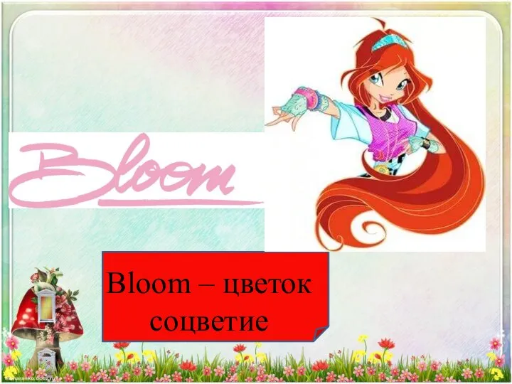 Bloom – цветок соцветие