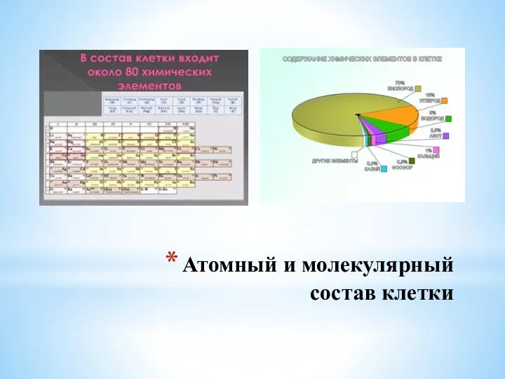 Атомный и молекулярный состав клетки