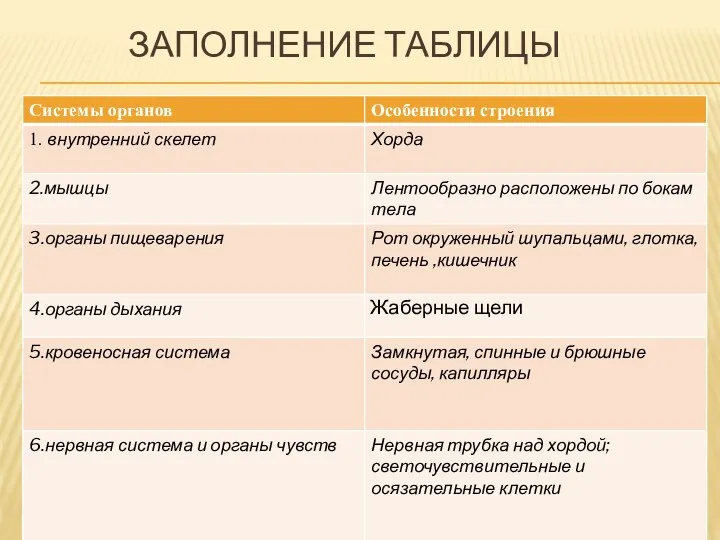 ЗАПОЛНЕНИЕ ТАБЛИЦЫ