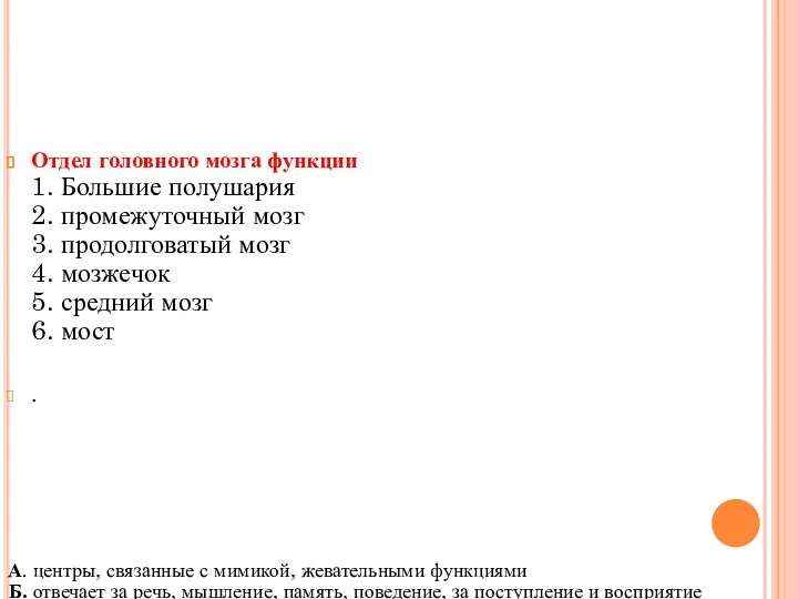 Отдел головного мозга функции 1. Большие полушария 2. промежуточный мозг 3. продолговатый