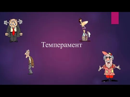 Темперамент